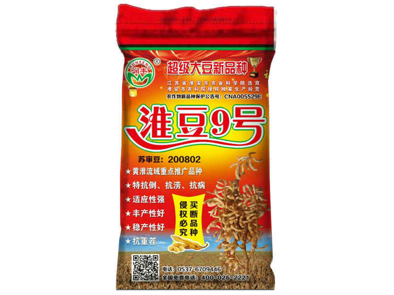 淮豆9号
