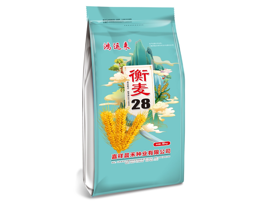 衡麦28